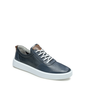 1176-301-515-1-2 (3)