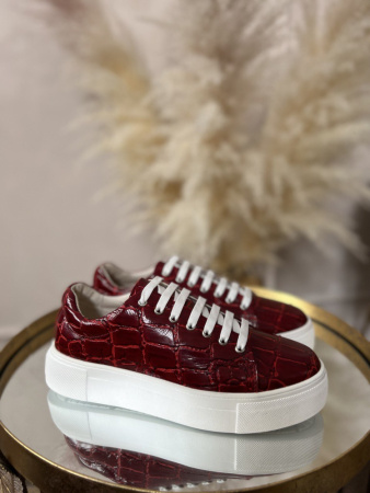 photo_2023-02-04_13-34-30