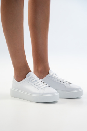 3066-18242-15-1-5 (3)