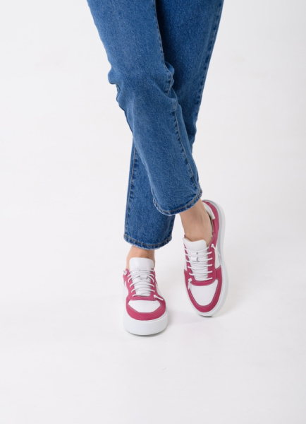 3095-23343-512-1-201