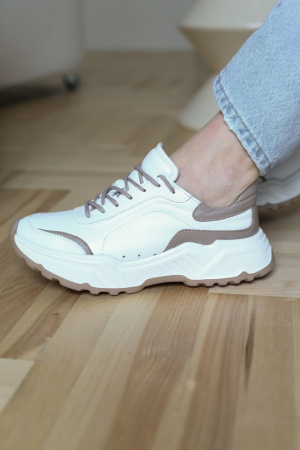 3080-23343-514-1-126 _2