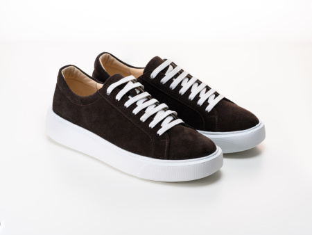 2035-26301-493-3-3  (5)