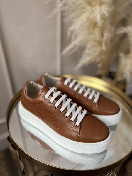 photo_2023-02-04_13-41-33