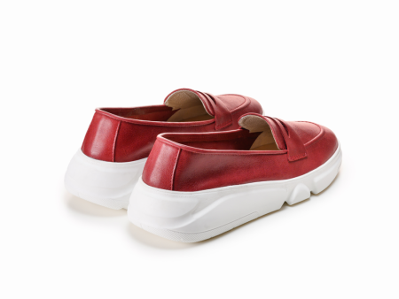 3032-26481-460-3-57 (2)