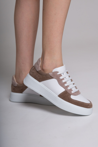 3095-23343-512-13-222 (2)