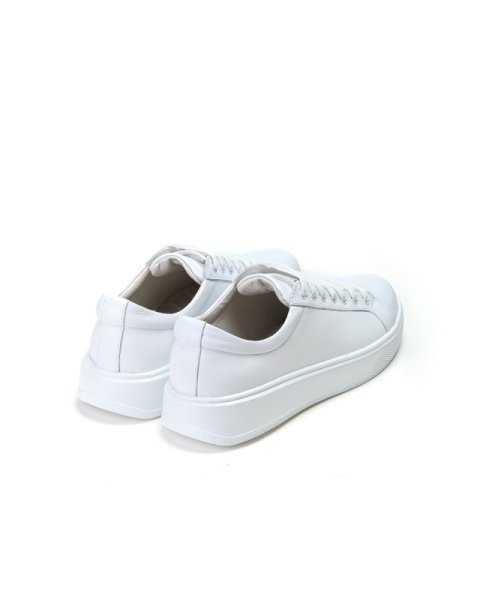 3066-23343-512-1-5 (3)